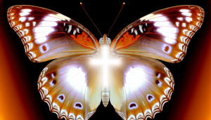 Read more about the article The Biblical Significance of Butterflies