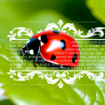 biblical meaning of ladybugs